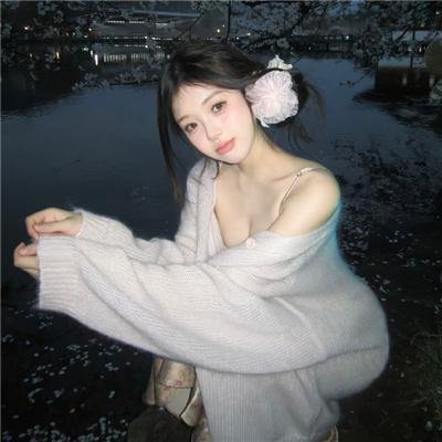 洪拳小子